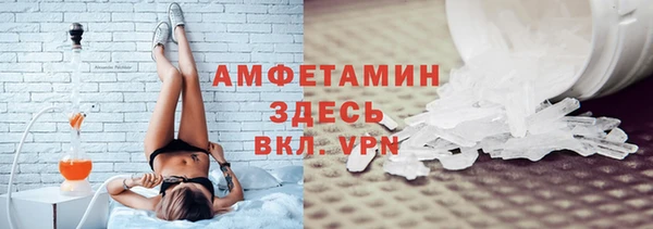 индика Алексин