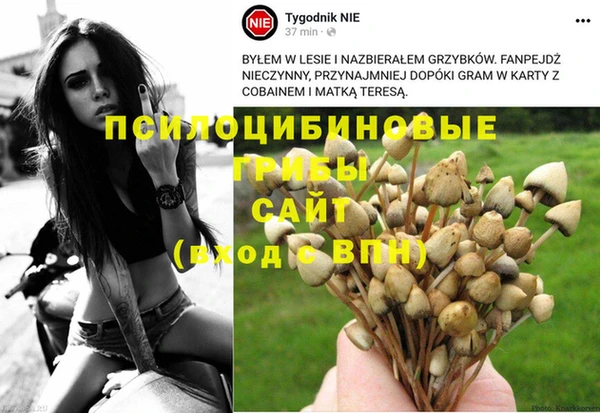 индика Алексин