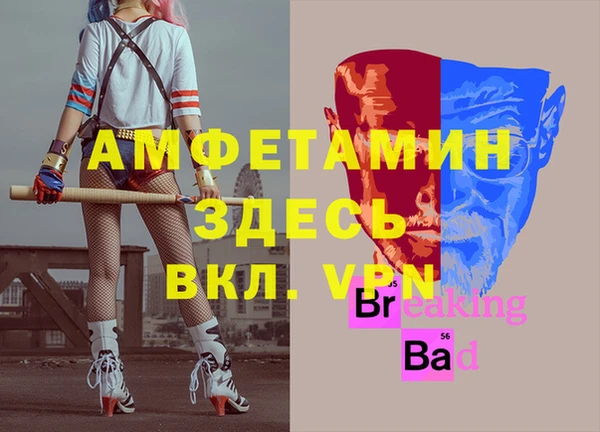 индика Алексин