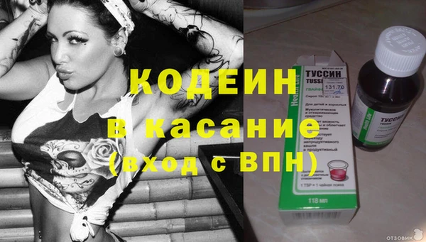 индика Алексин
