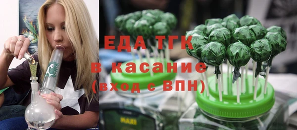 индика Алексин