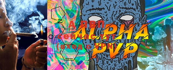 apvp Алзамай
