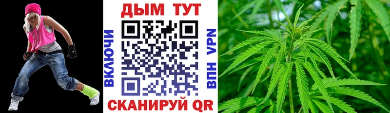 купить наркотики сайты  Андреаполь  МАРИХУАНА планчик 